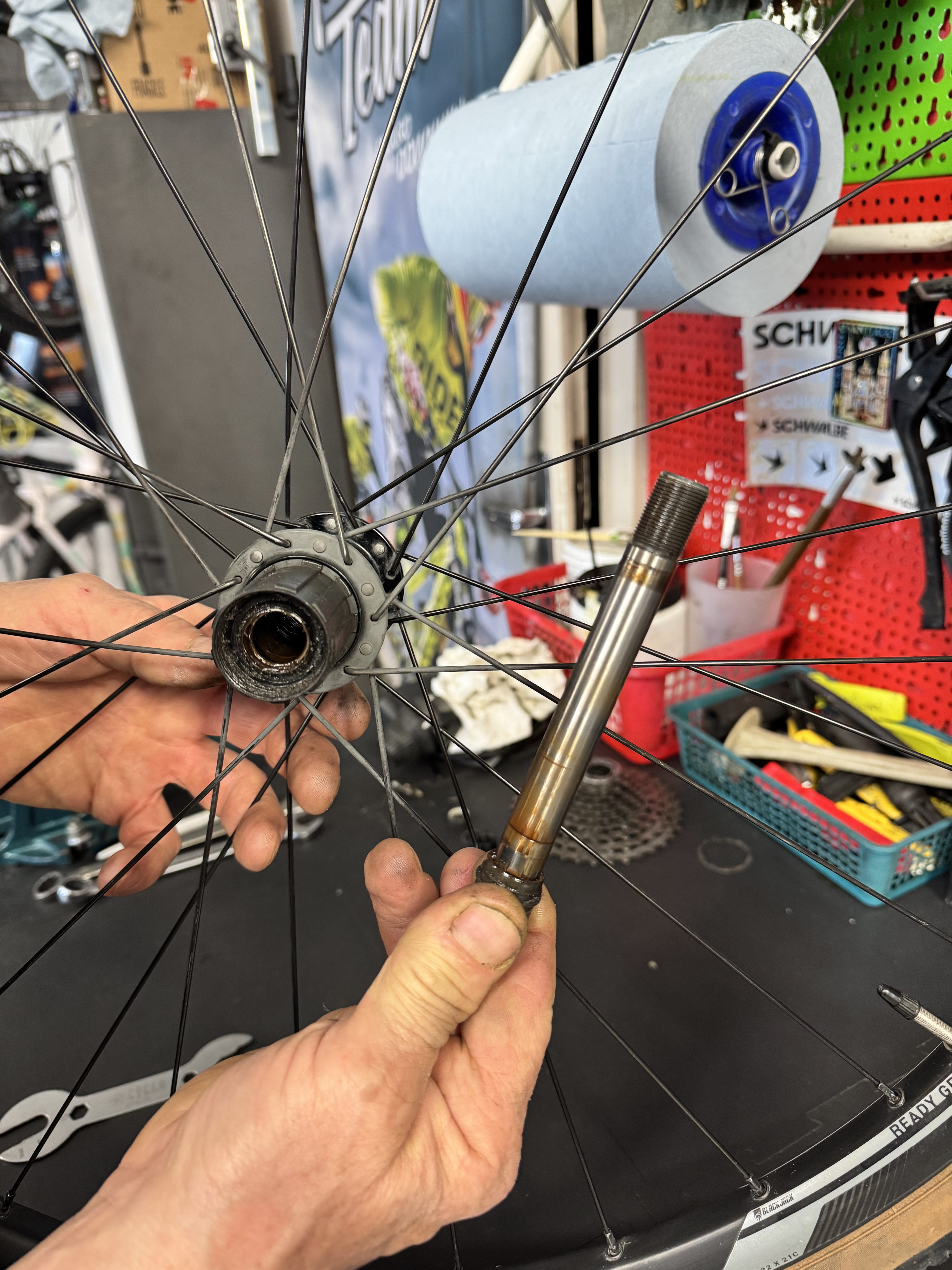 Corpetto ruota posteriore 